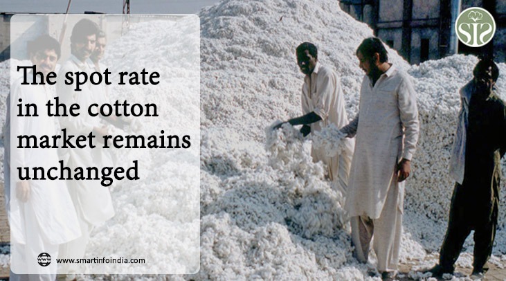 Spot rate unchanged in cotton market