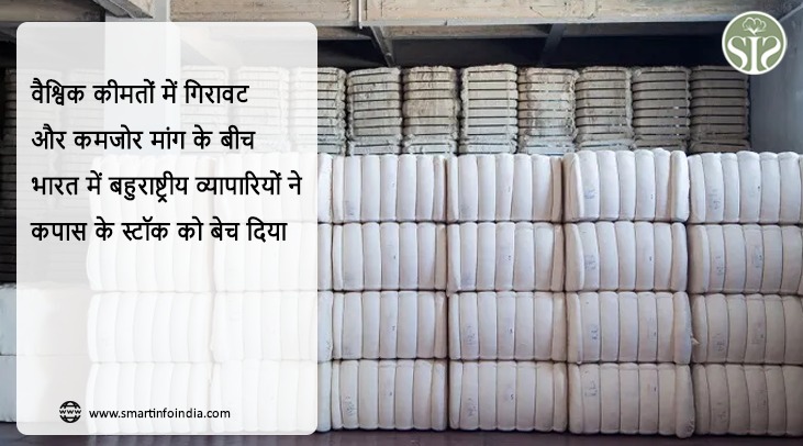 वैश्विक कीमतों में गिरावट और कमजोर मांग के बीच भारत में बहुराष्ट्रीय व्यापारियों ने कपास के स्टॉक को बेचना शुरू किया।