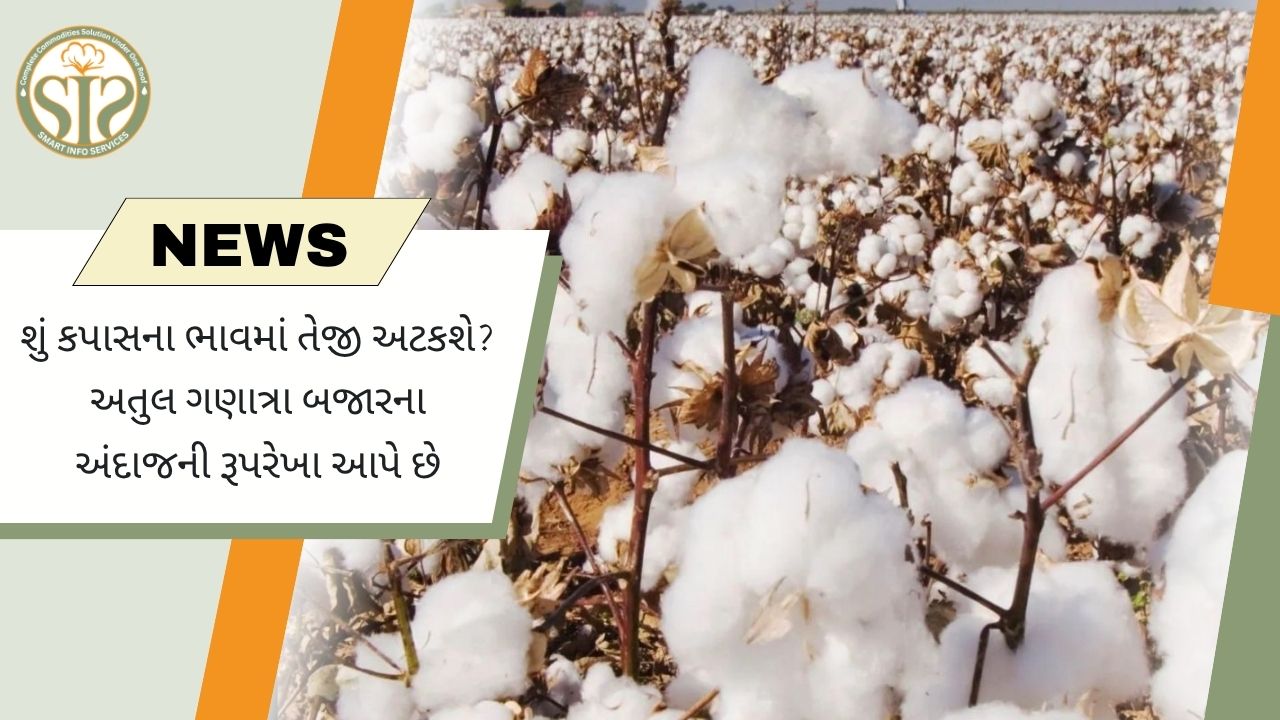 કપાસની તેજી પર લાગી શકે બ્રેક