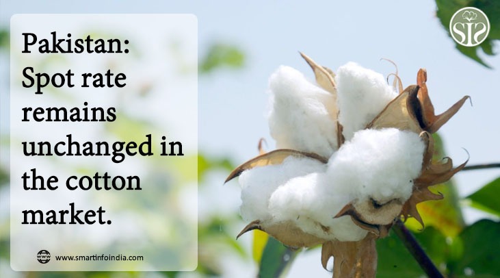 Pakistan: The spot rate in the cotton market is unchanged
