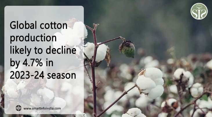 Global cotton production likely to decline by 4.7% in 2023-24 season