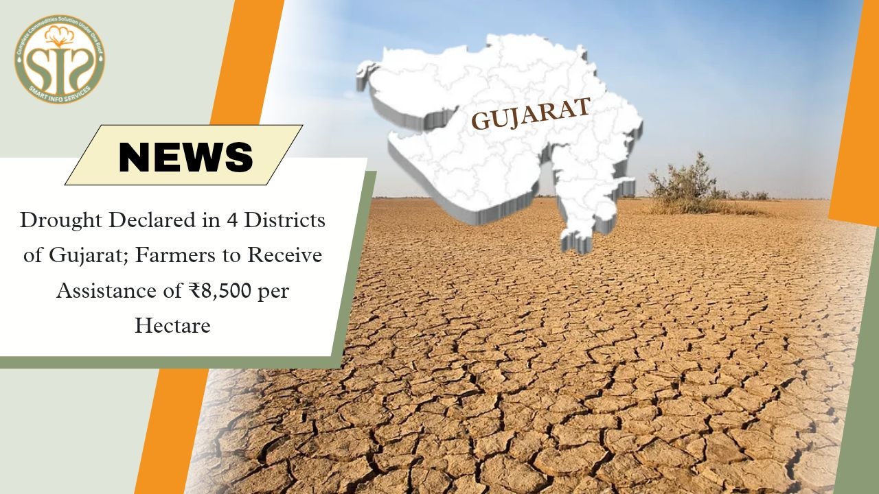Gujarat Announces Drought Relief for Farmers