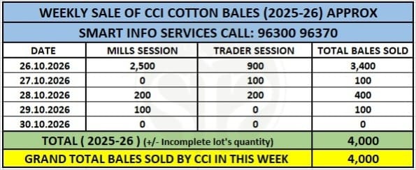 CCIની કપાસ હરાજીમાં વેચાણ ઘટીને 4,000 ગાંસડી