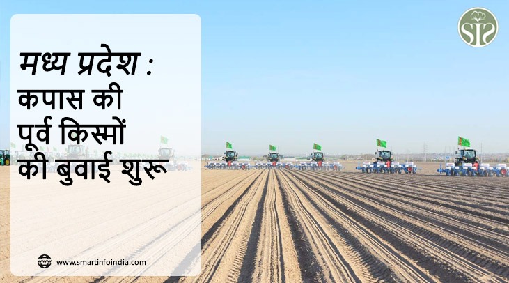 मध्य प्रदेश : कपास की पूर्व किस्मों की बुवाई शुरू