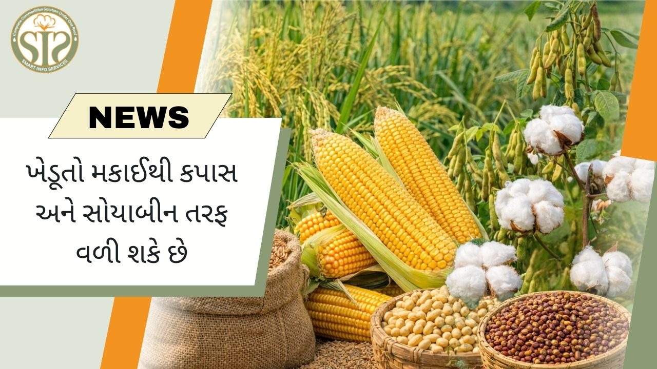 મકાઈથી કપાસ અને સોયાબીન તરફ વળી શકે ખેડૂતો