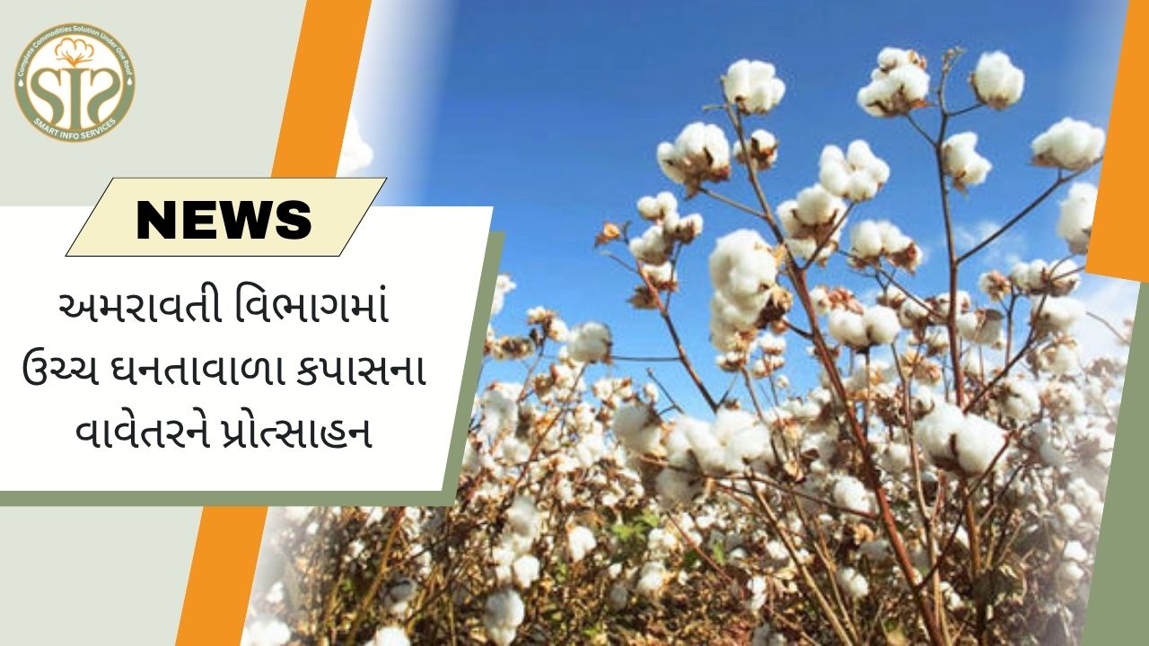 અમરાવતી વિભાગમાં હાઈ-ડેન્સિટી કપાસ ખેતીને પ્રોત્સાહન