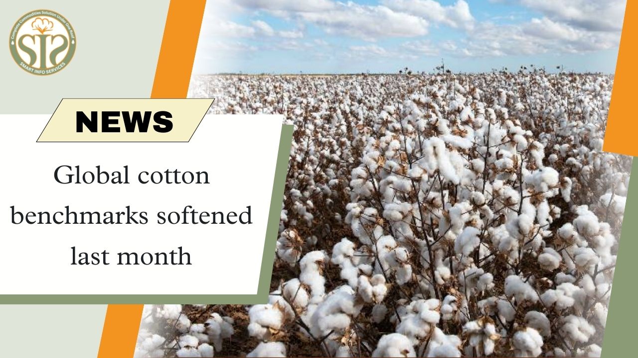 Global cotton prices softened last month