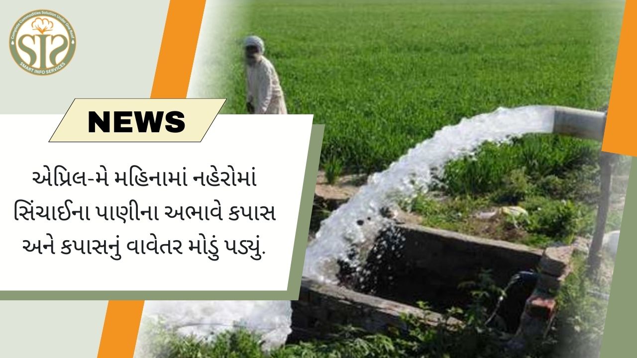 નહેરોમાં પાણીના અભાવે કપાસ અને મકાઈના વાવેતર પર અસર પડી છે.