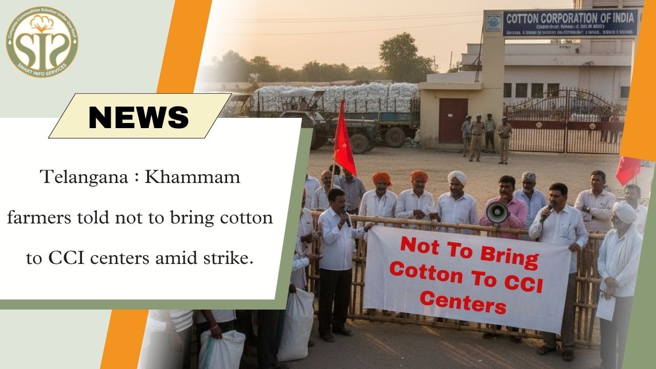 “Amid strike, Khammam farmers advised not to bring cotton to CCI centres”