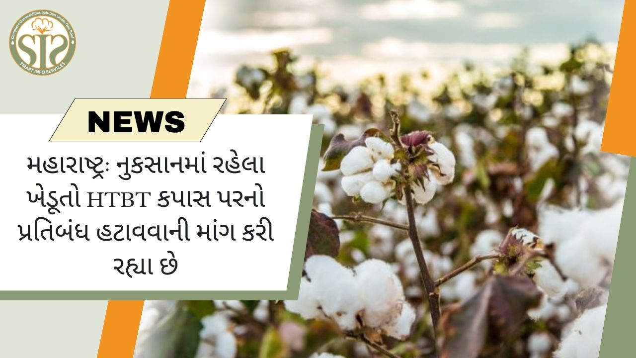 મહારાષ્ટ્રના ખેડૂતોએ HTBT કપાસ પરનો પ્રતિબંધ હટાવવાની માંગ કરી