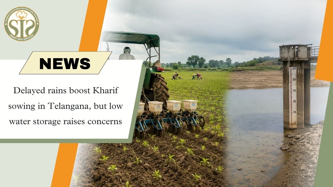 Telangana Kharif Sowing Picks Up
