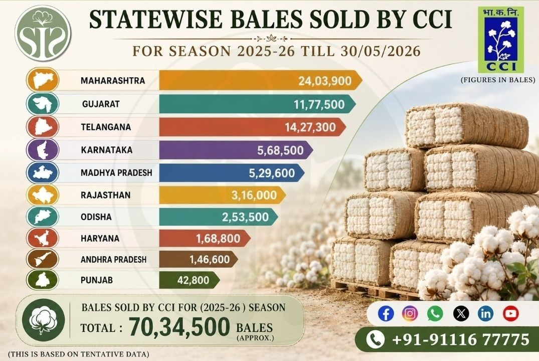 CCI Cotton Sales Cross 70 Lakh Bales in 2025-26