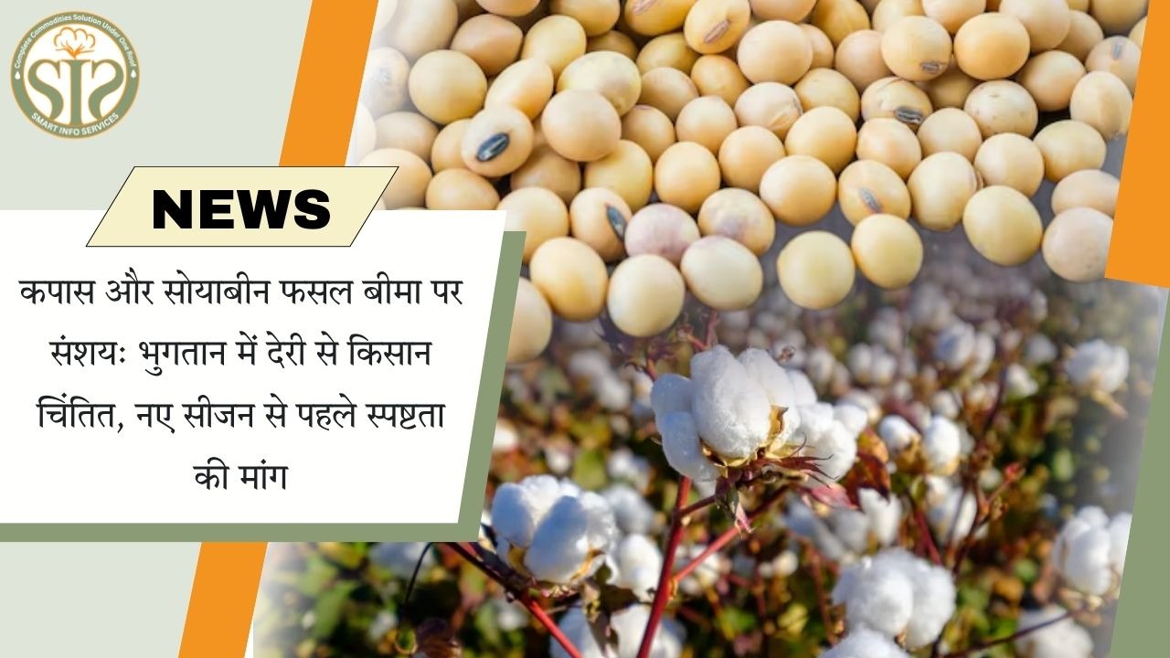 कपास-सोयाबीन बीमा भुगतान में देरी, किसान चिंतित