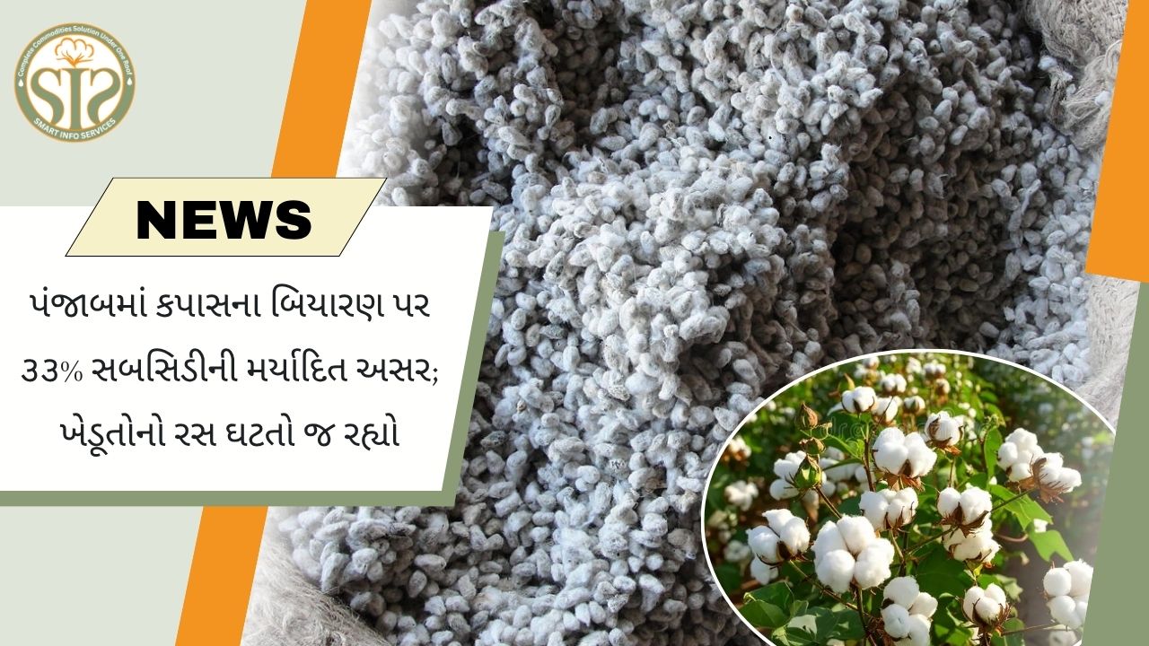 પંજાબમાં કપાસ સબસિડી બેઅસર