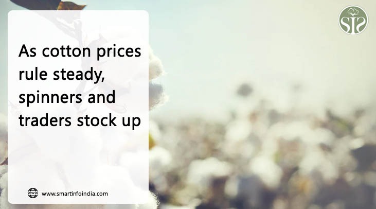 As cotton prices rule steady, spinners and traders stock up