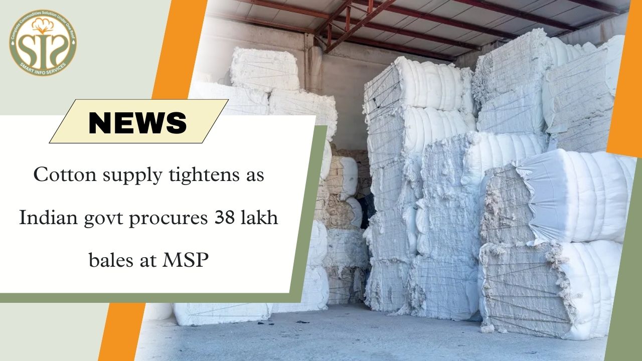 Cotton supply tightens as Indian govt procures 38 lakh bales at MSP