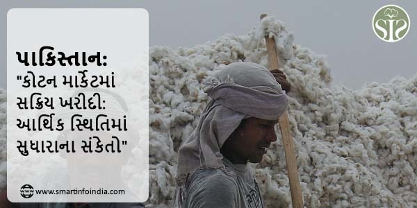 પાકિસ્તાન: "કોટન માર્કેટમાં સક્રિય ખરીદી: આર્થિક સ્થિતિમાં સુધારાના સંકેતો"