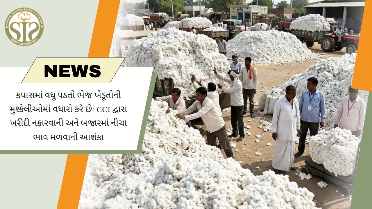 ભેજથી CCI ખરીદી અંગે ખેડૂતોની ચિંતા