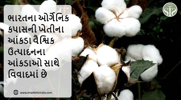 ભારતના ઓર્ગેનિક કપાસની ખેતીના આંકડા વૈશ્વિક ઉત્પાદનના આંકડાઓ સાથે વિવાદમાં છે