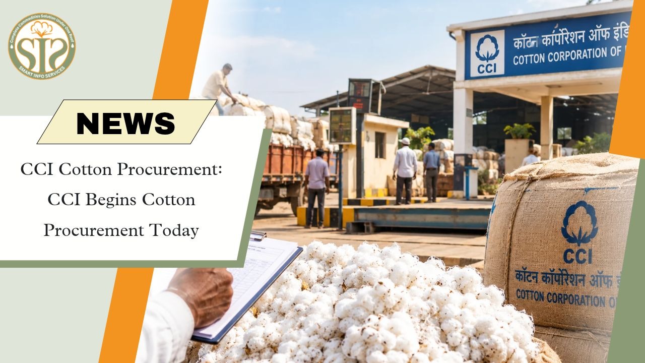 CCI Starts Cotton Procurement at MSP