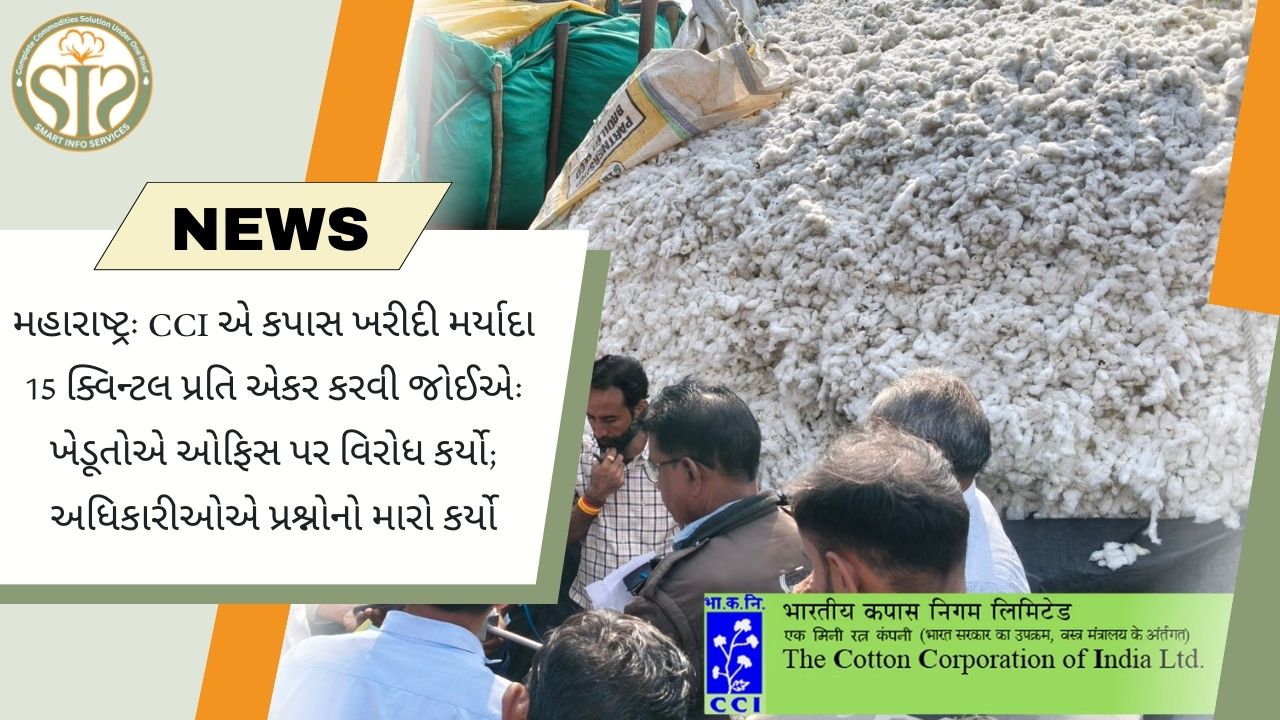 ખેડૂતોએ CCI પાસે કપાસ ખરીદી મર્યાદા વધારીને 15 ક્વિન્ટલ કરવાની માંગ કરી