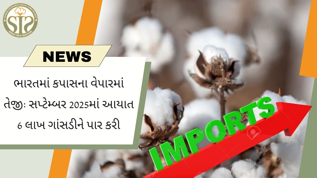 સપ્ટેમ્બર 2025 માં ભારતની કપાસની આયાત 6 લાખ ગાંસડીને વટાવી ગઈ