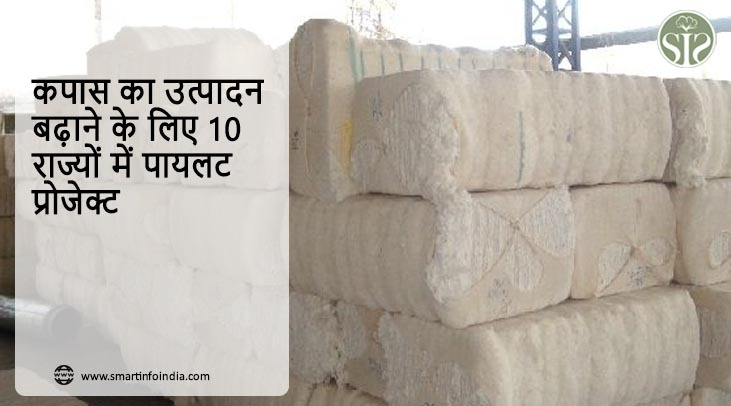 कपास का उत्पादन बढ़ाने के लिए 10 राज्यों में पायलट प्रोजेक्ट