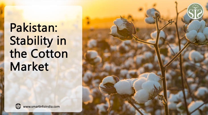 Pakistan: Stable trend in cotton market..