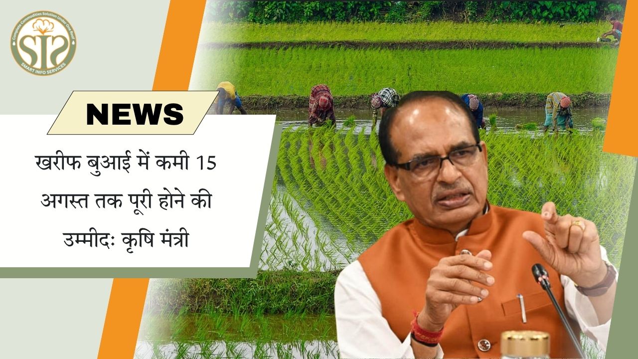 कृषि मंत्री ने जताई उम्मीद, 15 अगस्त तक पूरी हो सकती है खरीफ बुवाई की कमी