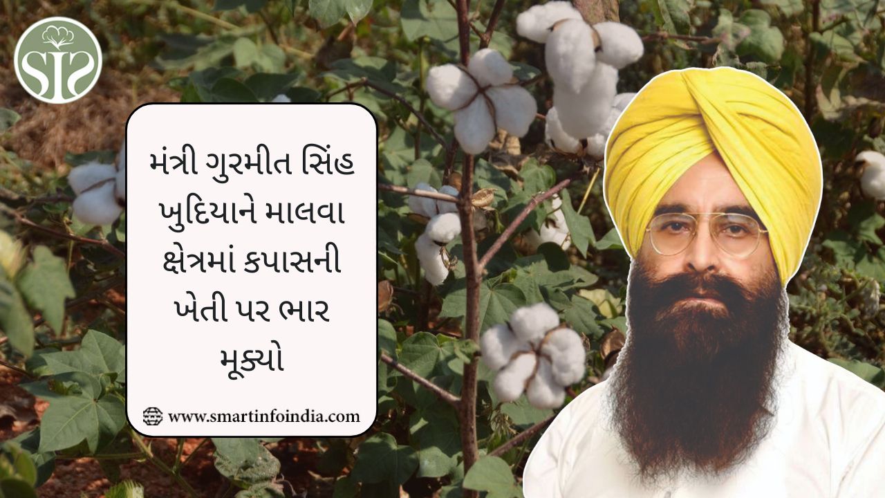 મંત્રી ગુરમીત સિંહ ખુદિયાને માલવા ક્ષેત્રમાં કપાસની ખેતી પર ભાર મૂક્યો