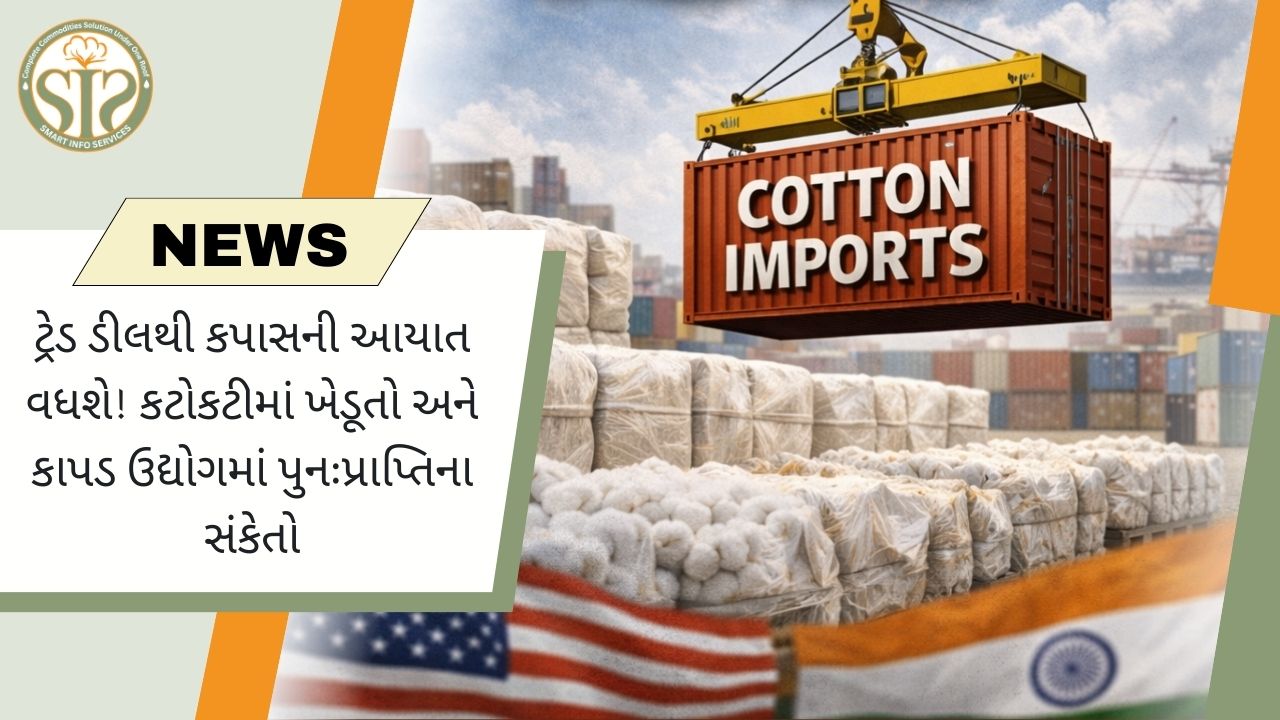 ટ્રેડ ડીલને કારણે કપાસની આયાત વધી, ખેડૂતો મુશ્કેલીમાં, ટેક્સટાઇલ સેક્ટરમાં થોડી રાહત