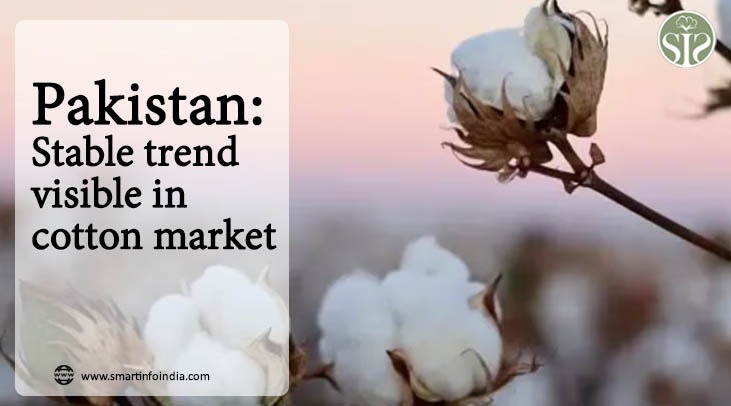 *Pakistan: Stable trend visible in cotton market*