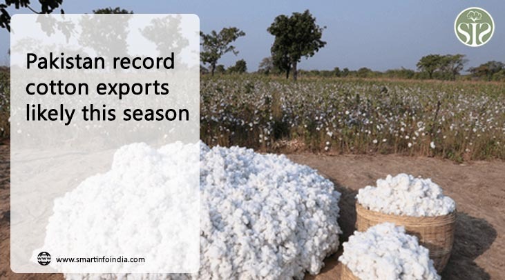 Pakistan is likely to export record cotton this season