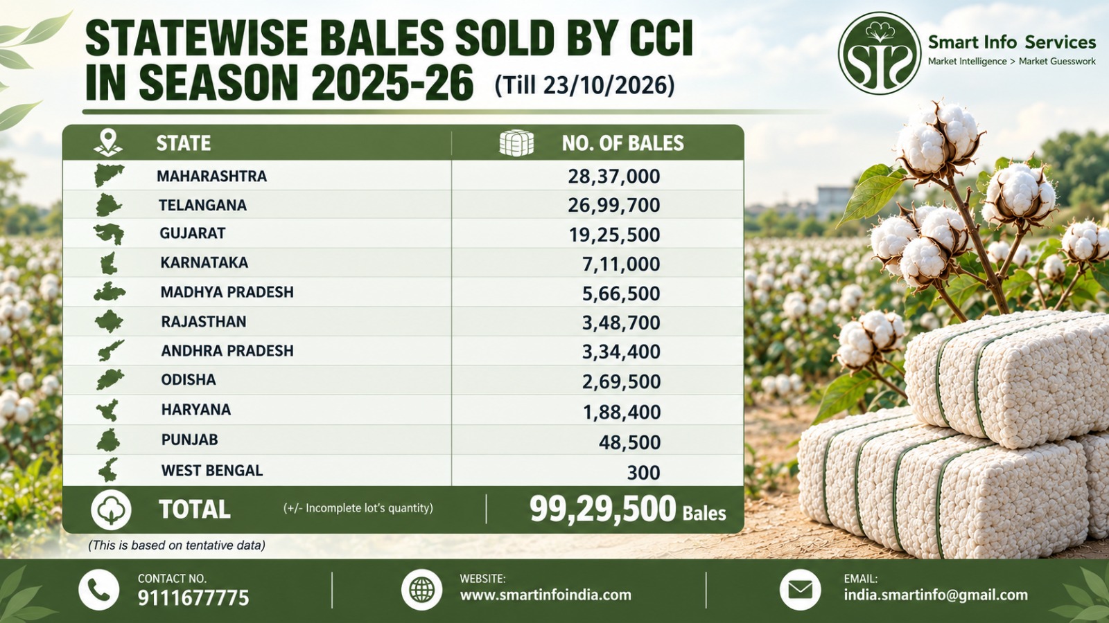 CCI Cotton Sales Reach 99.29 Lakh Bales