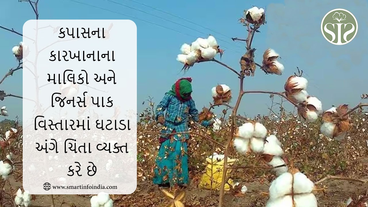 કપાસના કારખાનાના માલિકો અને જિનર્સ પાક વિસ્તારમાં ઘટાડા અંગે ચિંતા વ્યક્ત કરે છે