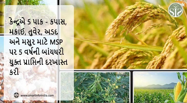 કેન્દ્રએ 5 પાકો - કપાસ, મકાઈ, તુવેર, અડદ અને મસૂર માટે MSP પર 5 વર્ષની બાંયધરીયુક્ત પ્રાપ્તિની દરખાસ્ત કરી છે.