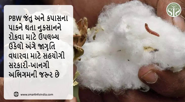 PBW જંતુ અને કપાસના પાકને થતા નુકસાનને રોકવા માટે ઉપલબ્ધ ઉકેલો અંગે જાગૃતિ વધારવા માટે સહયોગી સરકારી-ખાનગી અભિગમની જરૂર છે