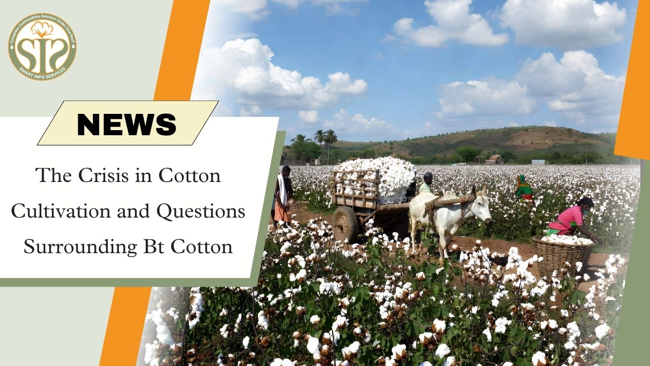 Aravalli Farmers Begin Groundnut, Cotton Sowing Despite Rain Uncertainty