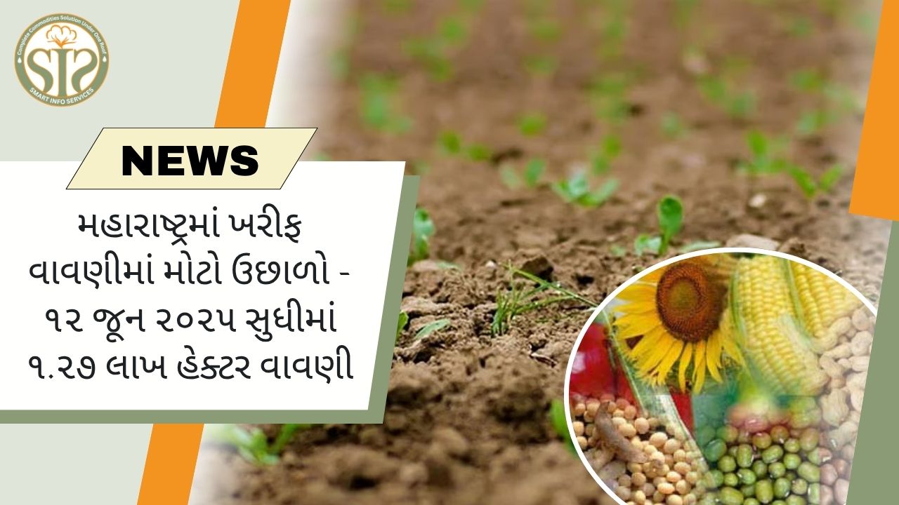 મહારાષ્ટ્રમાં ખરીફ વાવણીમાં મોટો ઉછાળો - ૧૨ જૂન ૨૦૨૫ સુધીમાં ૧.૨૭ લાખ હેક્ટર વાવણી
