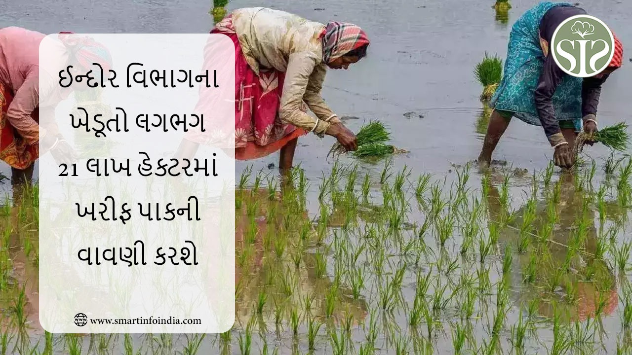 ઈન્દોર વિભાગના ખેડૂતો લગભગ 21 લાખ હેક્ટરમાં ખરીફ પાકની વાવણી કરશે.
