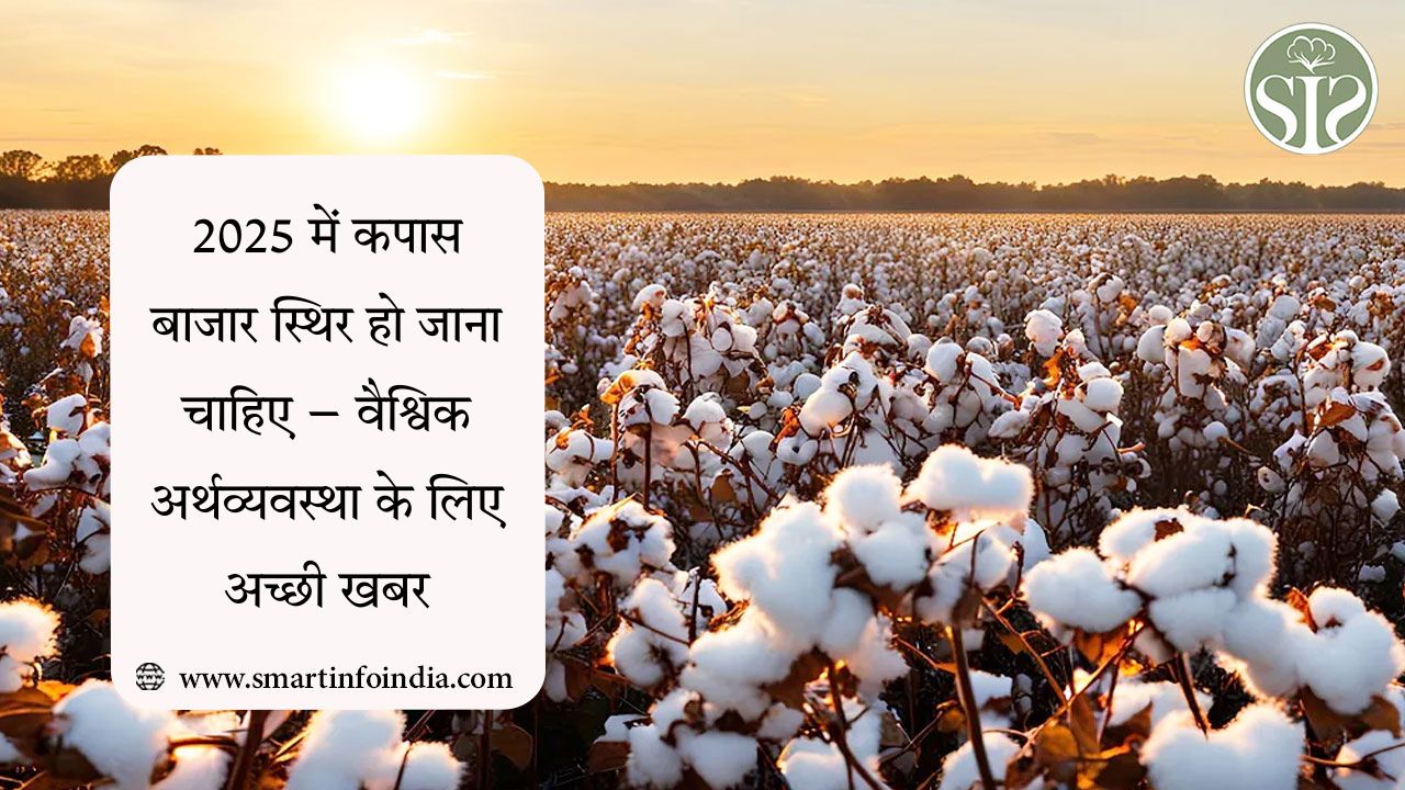 2025 में कपास बाजार स्थिर हो जाना चाहिए – वैश्विक अर्थव्यवस्था के लिए अच्छी खबर
