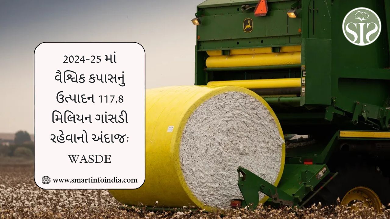 2024-25 માં વૈશ્વિક કપાસનું ઉત્પાદન 117.8 કરોડ ગાંસડી રહેવાનો અંદાજ છે: WASDE