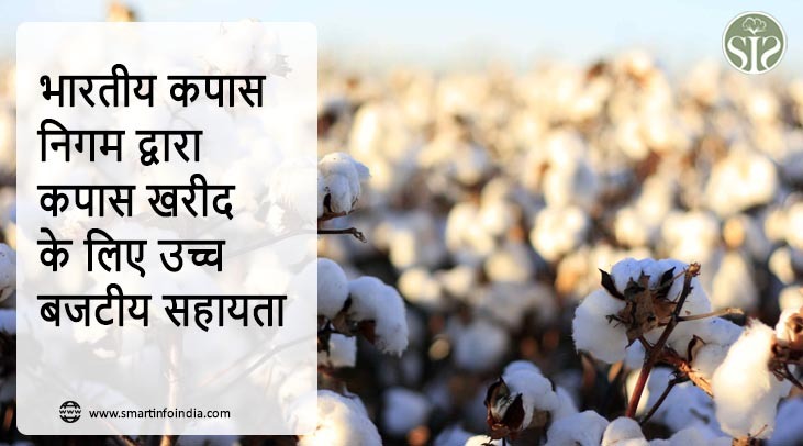 भारतीय कपास निगम द्वारा कपास खरीद के लिए उच्च बजटीय सहायता