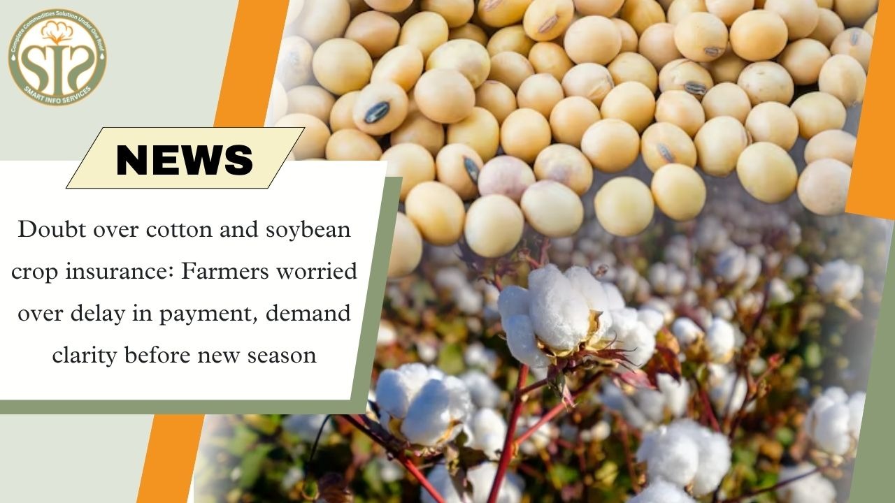 Delay in Cotton-Soybean Insurance Payments; Farmers Concerned