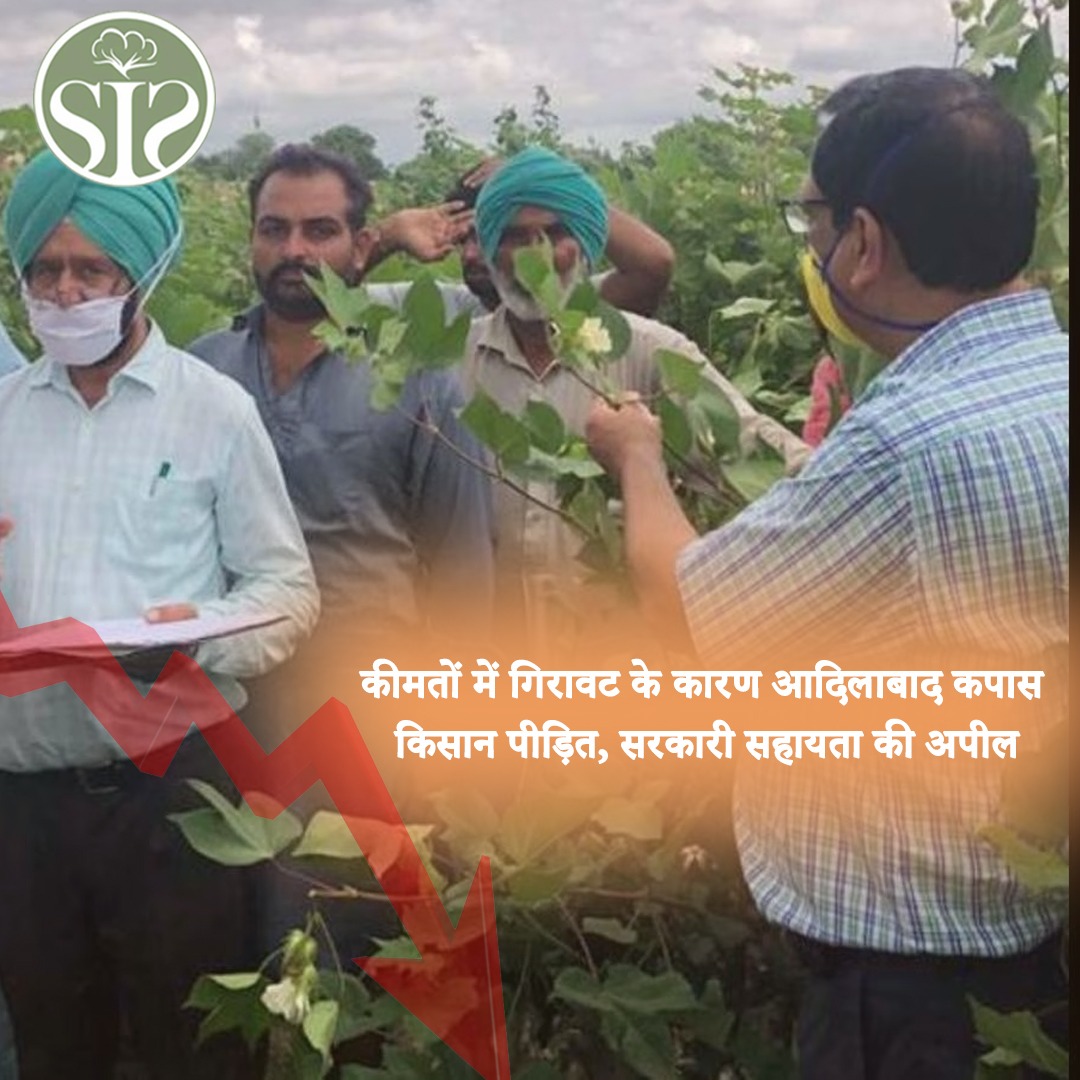 Adilabad cotton farmers suffer due to fall in prices, appeal for government help