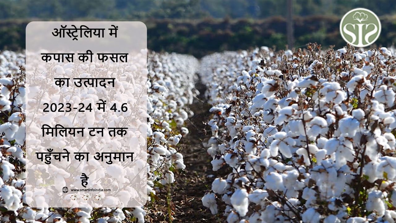 ऑस्ट्रेलिया में कपास की फसल का उत्पादन 2023-24 में 4.6 मिलियन टन तक पहुँचने का अनुमान है