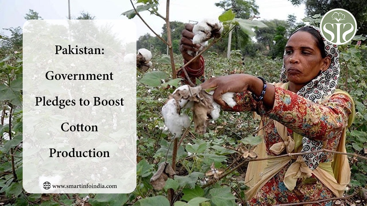 Pakistan: Government Pledges to Boost Cotton Production