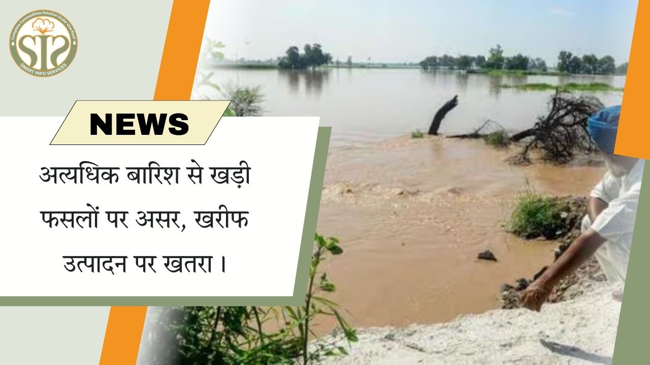 अत्यधिक बारिश से खरीफ फसल संकट