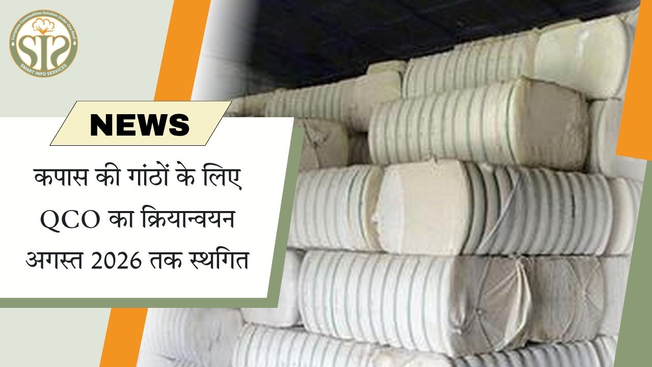 कपास की गांठों के लिए QCO का क्रियान्वयन अगस्त 2026 तक स्थगित