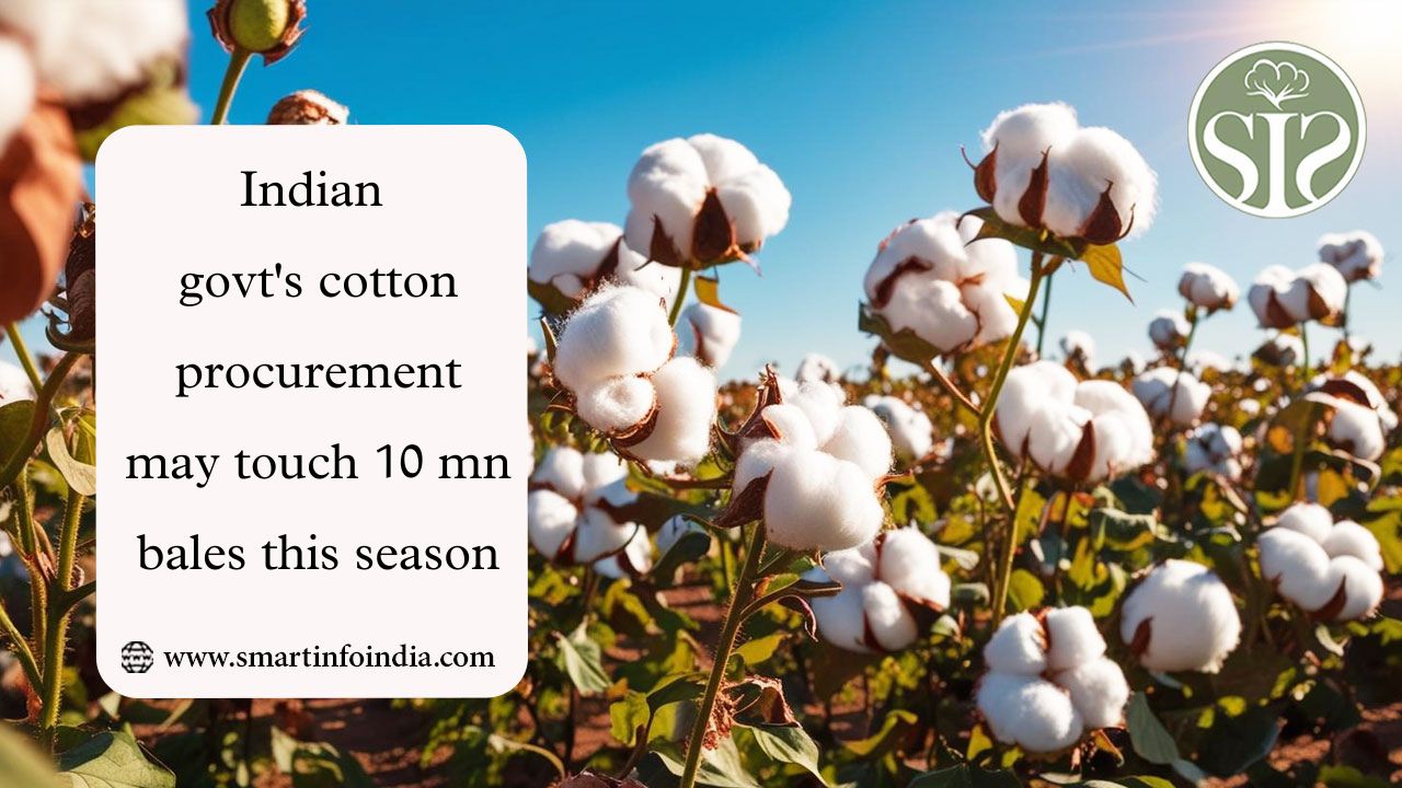Indian govt's cotton procurement may touch 10 mn bales this season